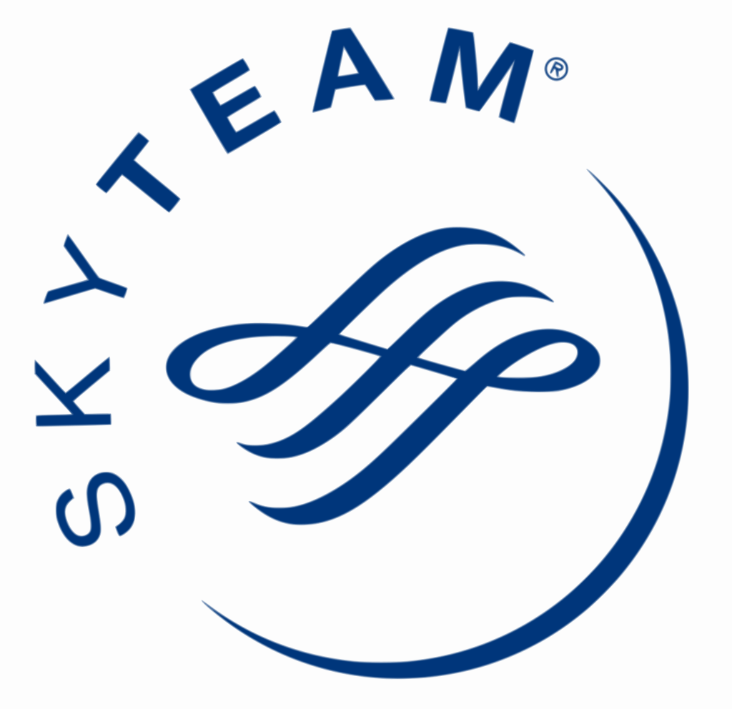 skyteam_logo